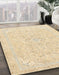 Machine Washable Abstract Khaki Gold Rug in a Family Room, wshabs2136