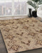 Machine Washable Abstract Brown Sand Brown Rug in a Family Room, wshabs213