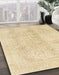 Machine Washable Abstract Brown Gold Rug in a Family Room, wshabs2142