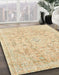 Machine Washable Abstract Brown Gold Rug in a Family Room, wshabs2144