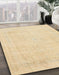 Machine Washable Abstract Brown Gold Rug in a Family Room, wshabs2147