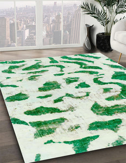 Machine Washable Abstract Light Jade Green Rug in a Family Room, wshabs2163