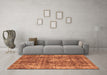 Machine Washable Persian Orange Bohemian Area Rugs in a Living Room, wshabs2166org