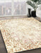 Machine Washable Abstract Brown Sugar Brown Rug in a Family Room, wshabs2171