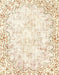 Machine Washable Abstract Brown Sugar Brown Rug, wshabs2171