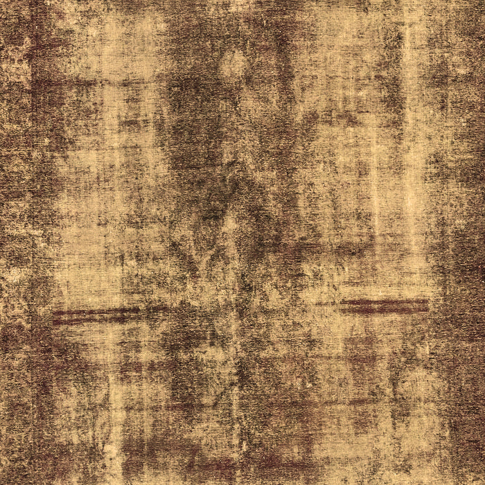 Oriental Brown Modern Rug, abs2319brn