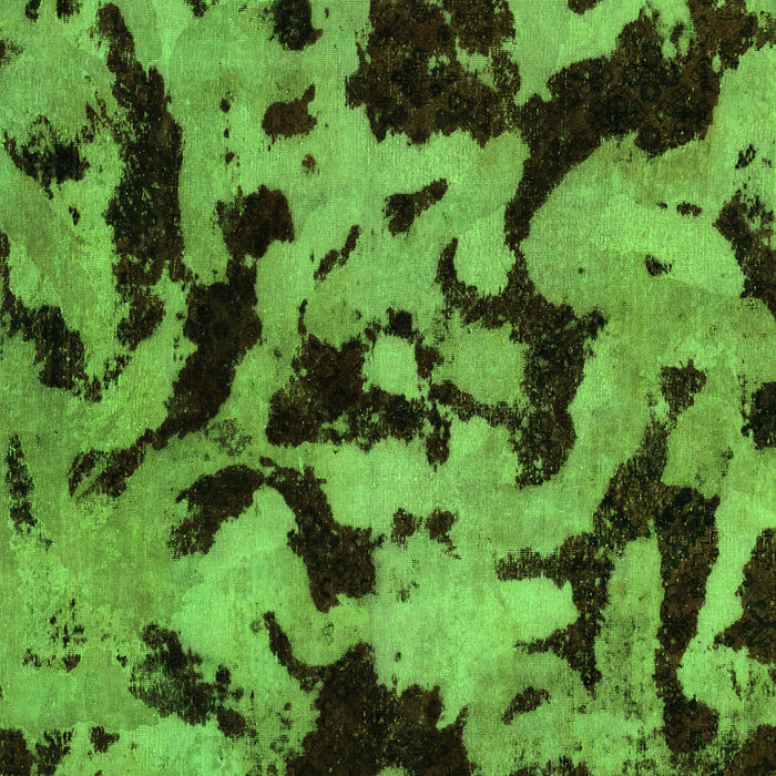 Oriental Green Modern Rug, abs2320grn