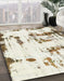 Machine Washable Abstract Brown Rug in a Family Room, wshabs2321