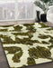 Machine Washable Abstract Sepia Brown Rug in a Family Room, wshabs2324