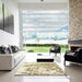 Square Abstract Copper Green Modern Rug in a Living Room, abs2327