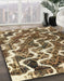 Abstract Brown Modern Rug in Family Room, abs2329