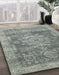 Machine Washable Abstract Ash Gray Rug in a Family Room, wshabs2338