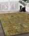 Machine Washable Abstract Caramel Brown Rug in a Family Room, wshabs2341