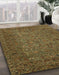 Machine Washable Abstract Sepia Brown Rug in a Family Room, wshabs2347