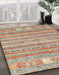 Machine Washable Abstract Rust Pink Rug in a Family Room, wshabs2400