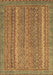 Machine Washable Oriental Brown Modern Rug, wshabs2405brn