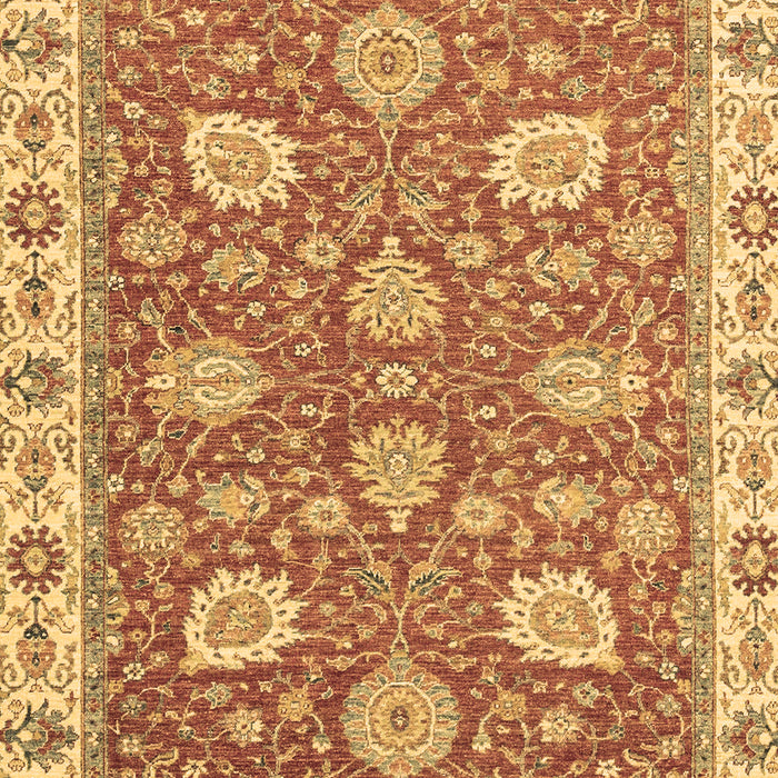 Machine Washable Oriental Brown Modern Rug, wshabs2406brn