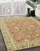 Machine Washable Abstract Chocolate Brown Rug in a Family Room, wshabs2422