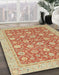 Abstract Orange Oriental Rug in Family Room, abs2426