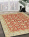 Machine Washable Abstract Orange Rug in a Family Room, wshabs2426