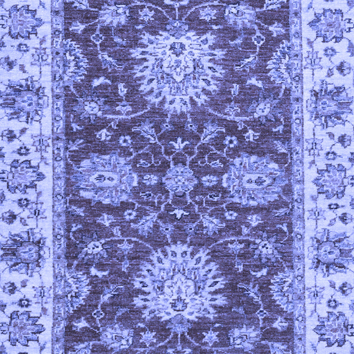 Oriental Blue Traditional Rug, abs2435blu