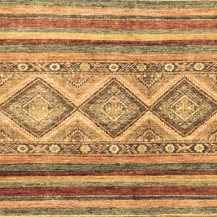 Machine Washable Southwestern Brown Country Rug, wshabs2439brn
