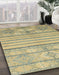 Machine Washable Abstract Brass Green Rug in a Family Room, wshabs2456