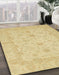 Machine Washable Abstract Mustard Yellow Rug in a Family Room, wshabs2466