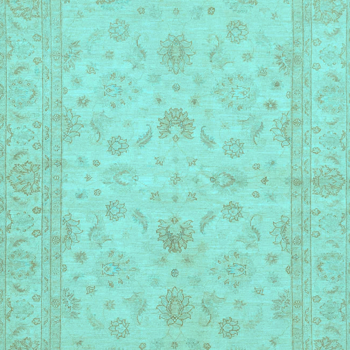Oriental Light Blue Traditional Rug, abs2466lblu
