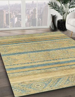 Machine Washable Abstract Brass Green Rug in a Family Room, wshabs2467