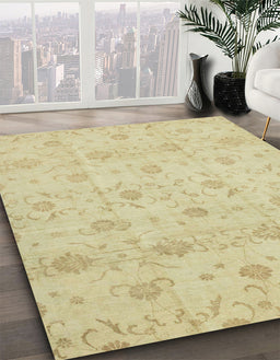 Machine Washable Abstract Brown Gold Rug in a Family Room, wshabs2470