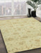 Machine Washable Abstract Brown Gold Rug in a Family Room, wshabs2470