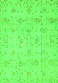 Oriental Green Traditional Rug, abs2470grn