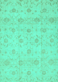 Oriental Turquoise Traditional Rug, abs2470turq