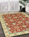 Machine Washable Abstract Red Rug in a Family Room, wshabs2471