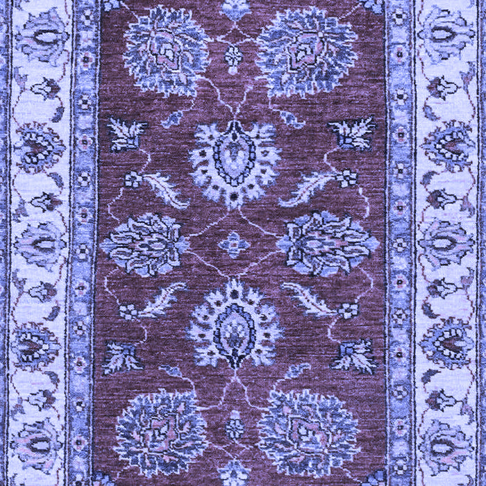 Oriental Blue Traditional Rug, abs2487blu