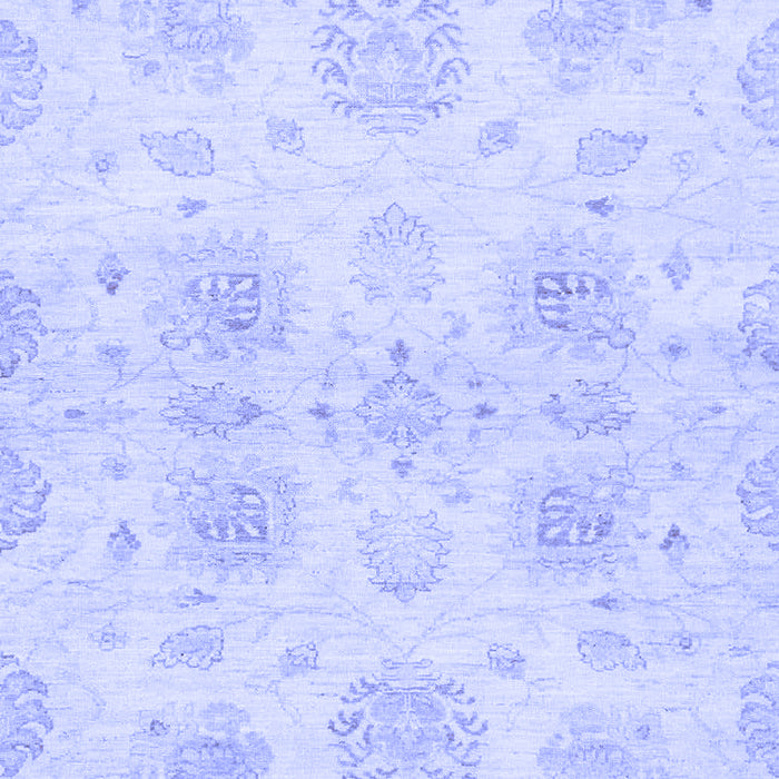 Oriental Blue Traditional Rug, abs2493blu