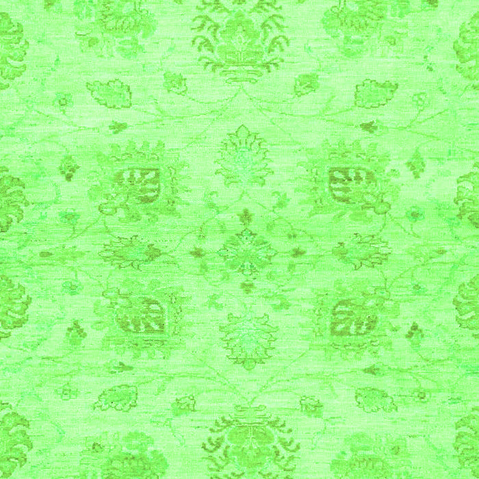 Oriental Green Traditional Rug, abs2493grn