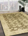 Machine Washable Abstract Light Brown Rug in a Family Room, wshabs2498