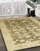 Abstract Light Brown Oriental Rug in Family Room, abs2498