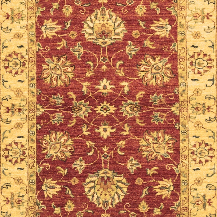 Machine Washable Oriental Brown Traditional Rug, wshabs2500brn