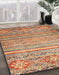 Machine Washable Abstract Chestnut Red Rug in a Family Room, wshabs2505