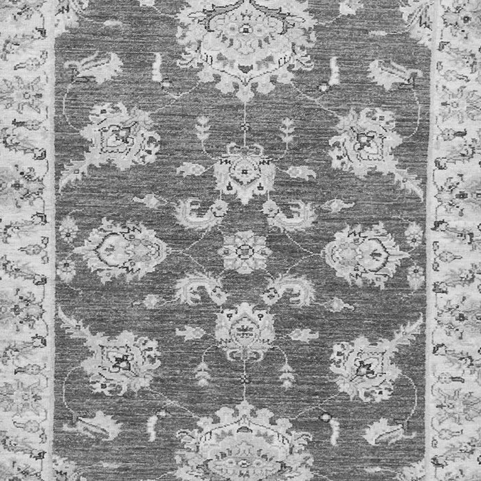 Machine Washable Oriental Gray Traditional Rug, wshabs2508gry