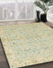 Machine Washable Abstract Dark Khaki Green Rug in a Family Room, wshabs2519