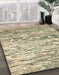 Machine Washable Abstract Brown Gold Rug in a Family Room, wshabs2524