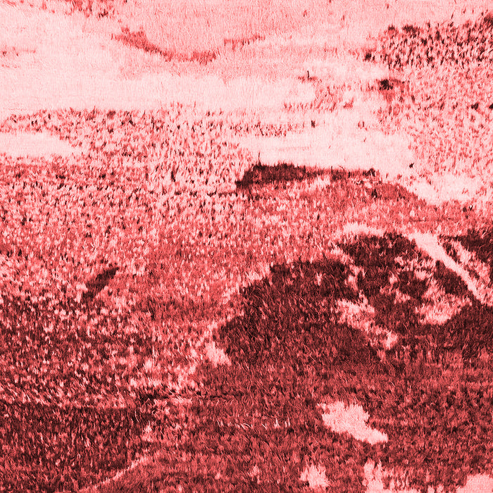 Abstract Red Modern Area Rugs