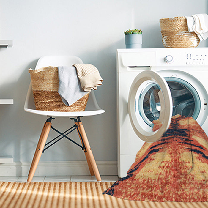 Machine Washable Abstract Fire Brick Red Rug in a Washing Machine, wshabs2538