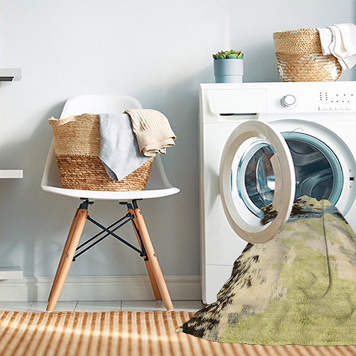 Machine Washable Abstract Brown Gold Rug in a Washing Machine, wshabs2552