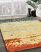 Machine Washable Abstract Dark Gold Brown Rug in a Family Room, wshabs2556