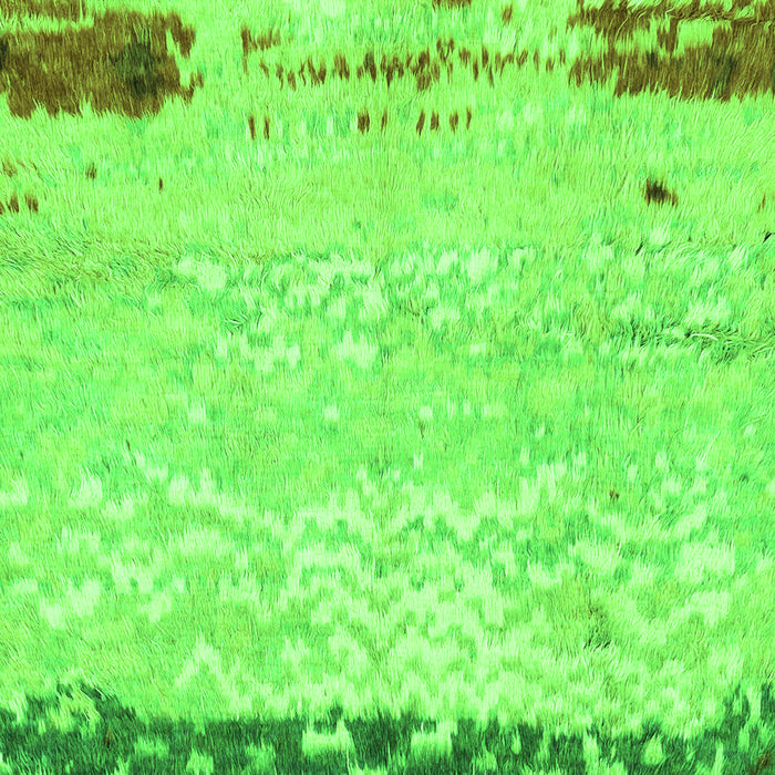 Abstract Green Modern Rug, abs2556grn